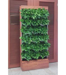 (자동) 식물공기정화기기본 사각형가로 90cm x 세로 30cm x 높이200cm